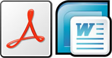 pdf_a_word pdf a word